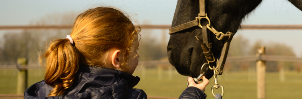 Level coaching Beyond Prikkels