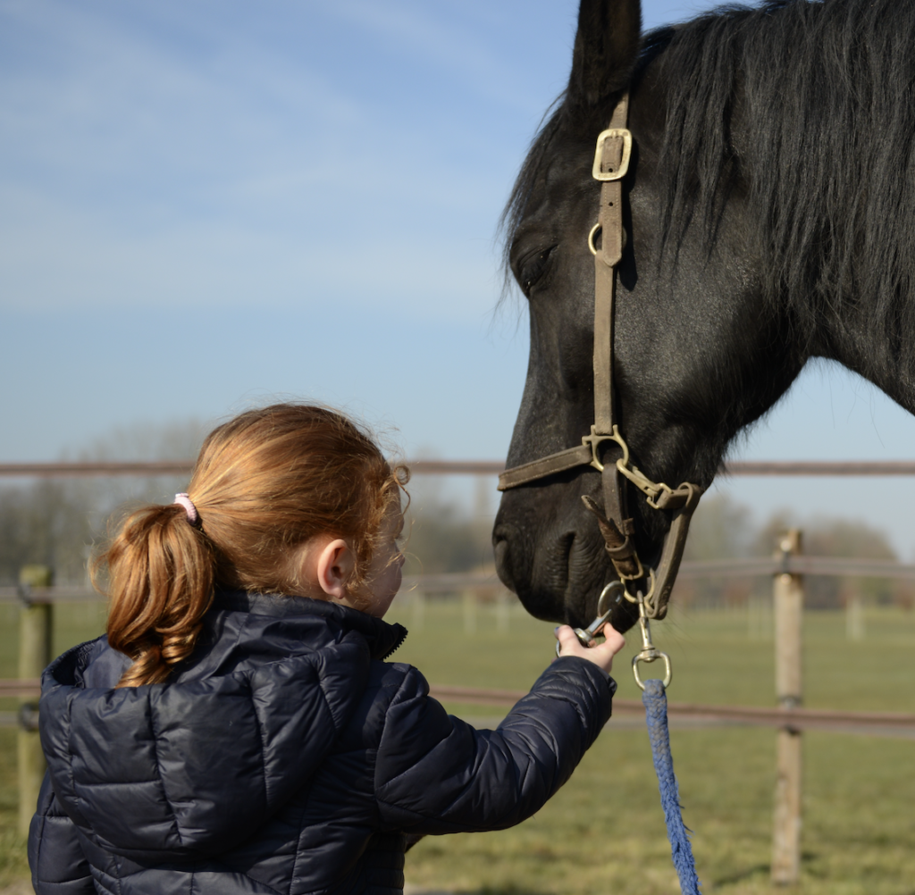 paardencoaching met kinderen