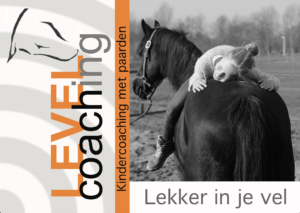 Level coaching Paardencoaching