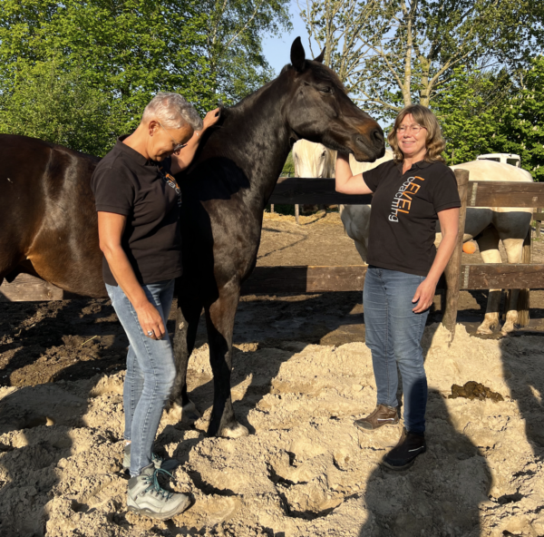 Magische diensten Level coaching