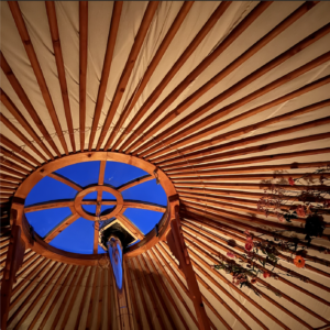 Helen tussen bloemen