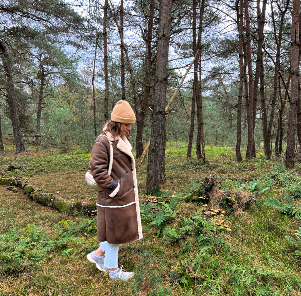 spirituele opleidingen voor het najaar