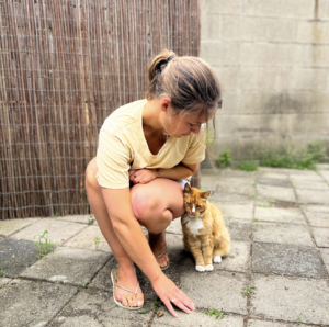 Wat zijn totemdieren?